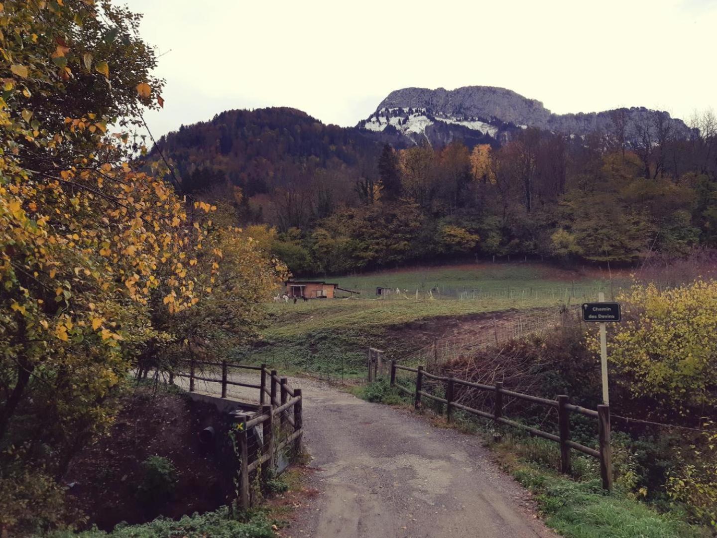 Ferme Familiale Chez Lili Villa Alex ภายนอก รูปภาพ